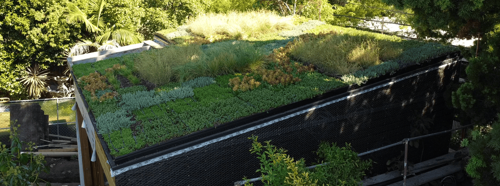 Biophilic Design: Creating Harmony Between Humans and Nature