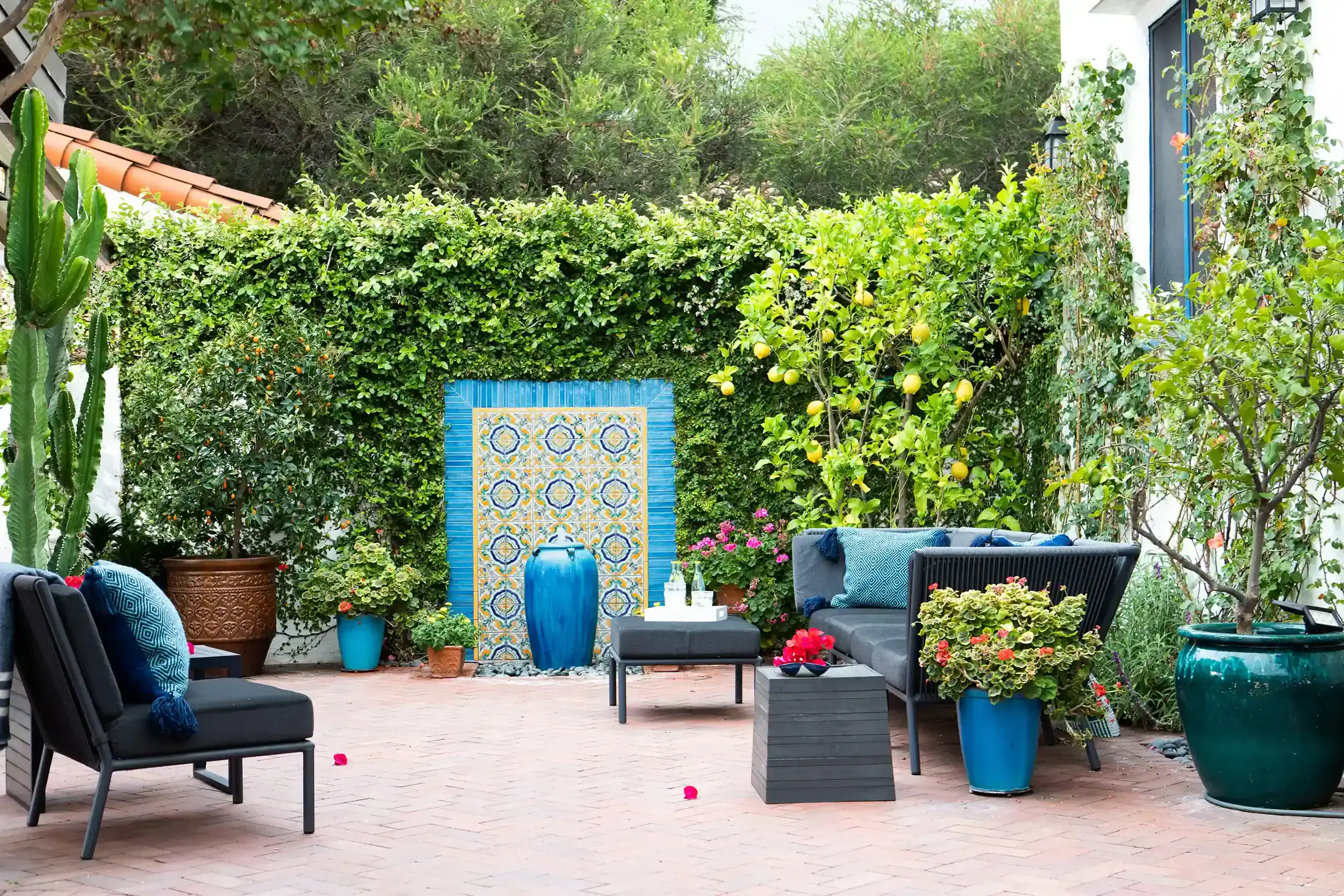 Biophilic Design: Creating Harmony Between Humans and Nature