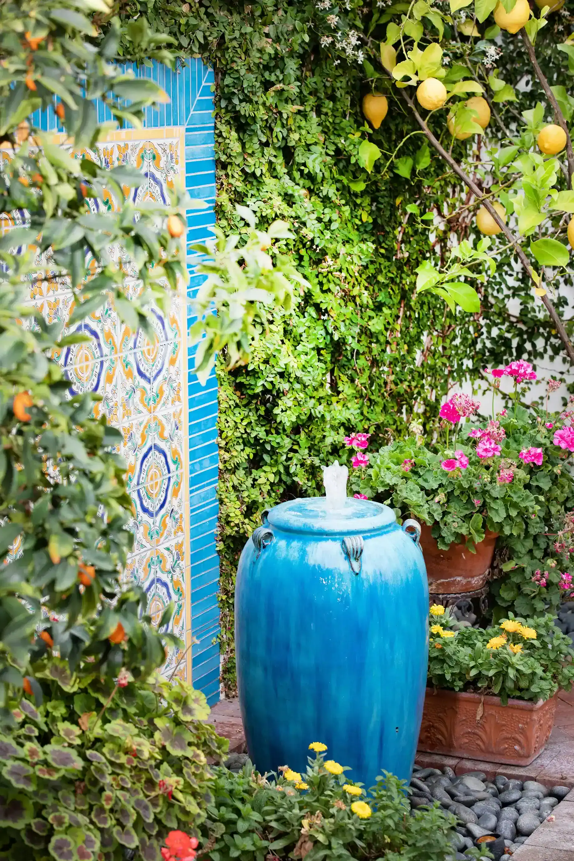 Biophilic Design: Creating Harmony Between Humans and Nature